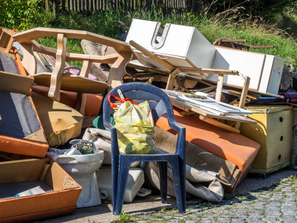 Best Moving and Downsizing Cleanouts  in Fremont, MI