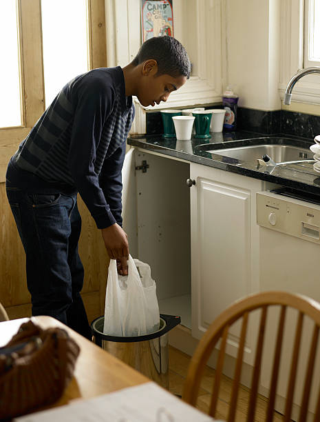  Fremont, MI Junk Removal Services Pros